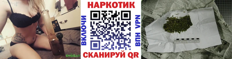 Сколько стоит Нея Гашиш 
