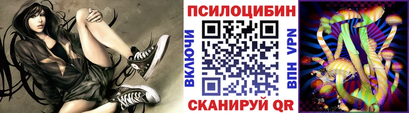 купить наркотики цена  Нея  Псилоцибиновые грибы Cubensis 